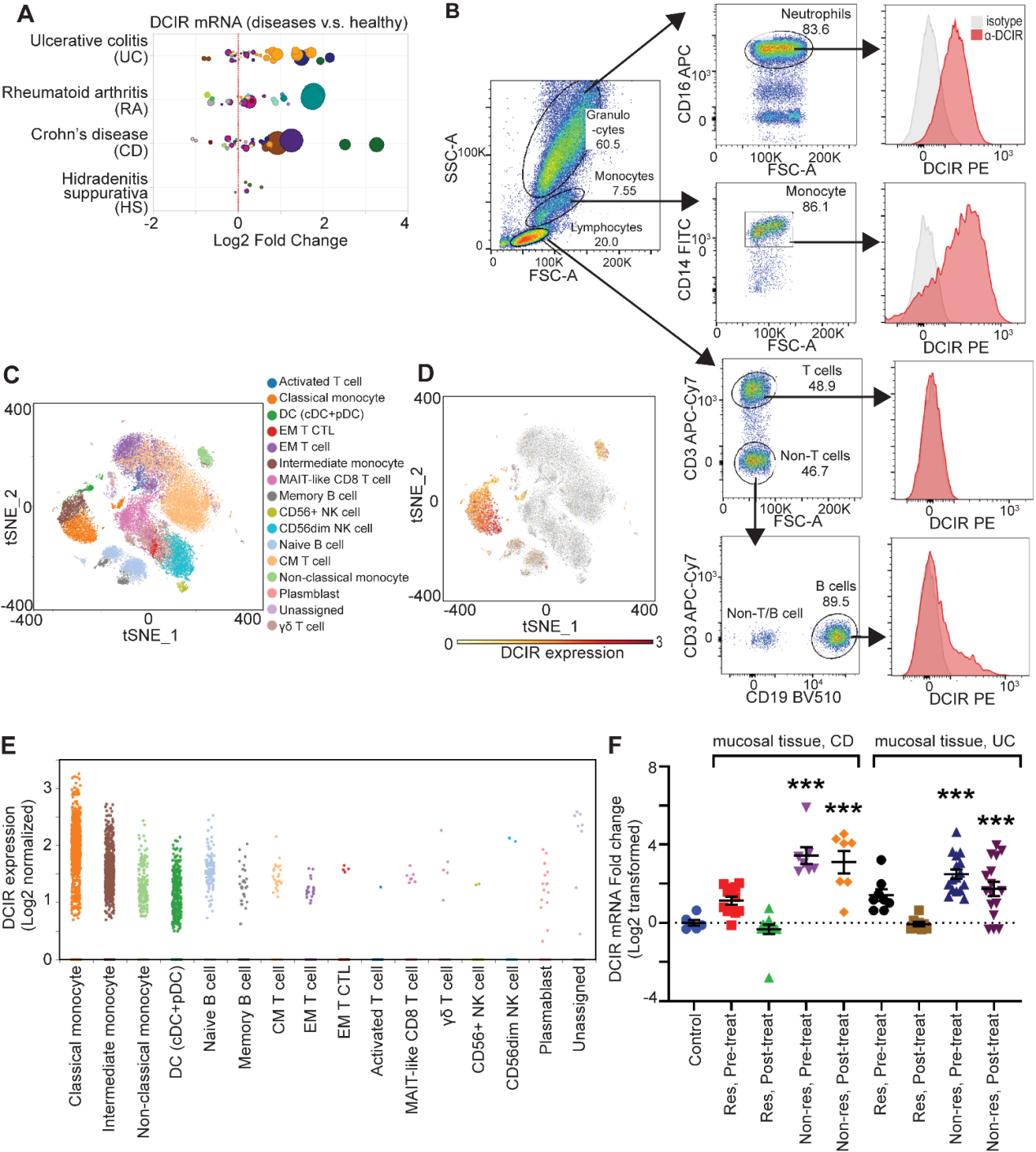 Agonistic anti-DCIR antibody inhibits ITAM-mediated inflammatory signaling and promotes immune resolution